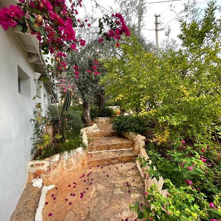 Kaktus Beach Apart Kaş Exterior photo