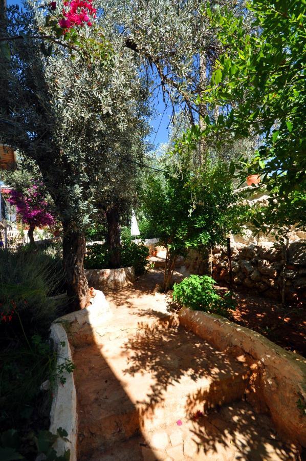 Kaktus Beach Apart Kaş Exterior photo