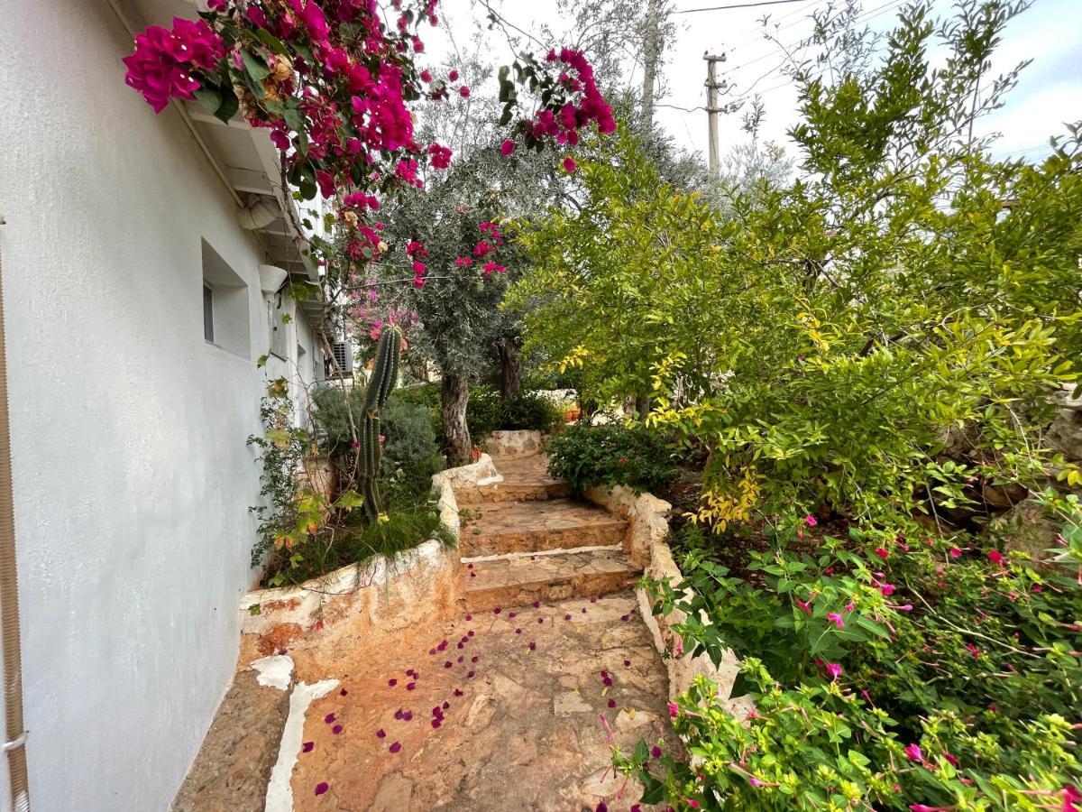 Kaktus Beach Apart Kaş Exterior photo